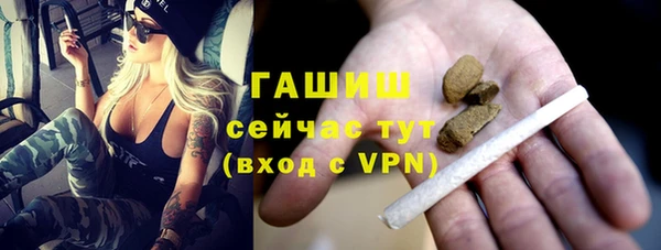 гидра Богданович
