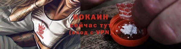 гидра Богданович