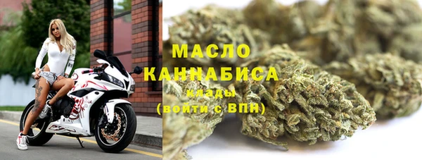 гидра Богданович