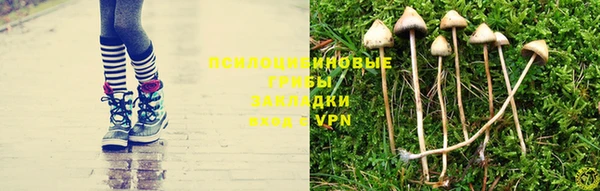 хмурый Богородск