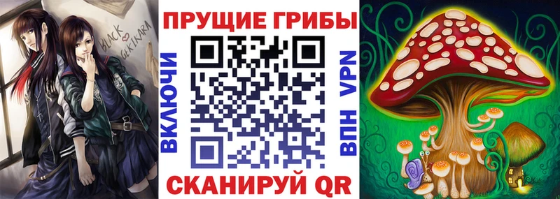 Галлюциногенные грибы Psilocybine cubensis  Купить  Макушино 